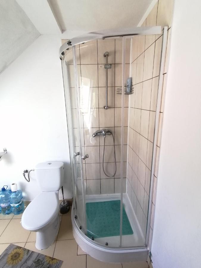 Pod Kasztanem Apartment *
